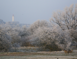 Hiddensee im Winter