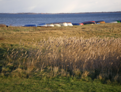 Hiddensee Blick zum Meer